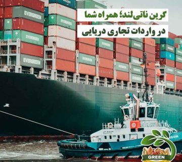 تصویر کشتی کانتینری و یدک‌کش دریایی مرتبط با واردات تجاری دریایی و خدمات گرین ناتی لند